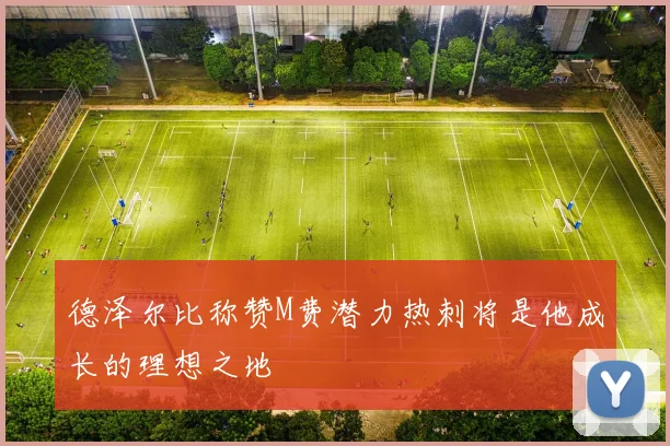德泽尔比称赞M费潜力热刺将是他成长的理想之地