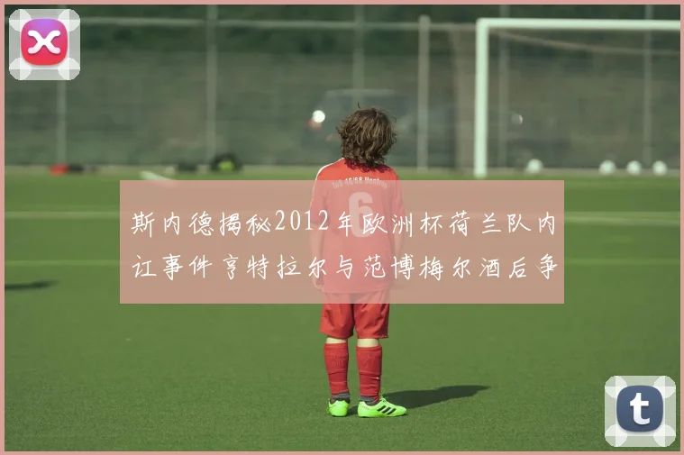 斯内德揭秘2012年欧洲杯荷兰队内讧事件亨特拉尔与范博梅尔酒后争执内幕